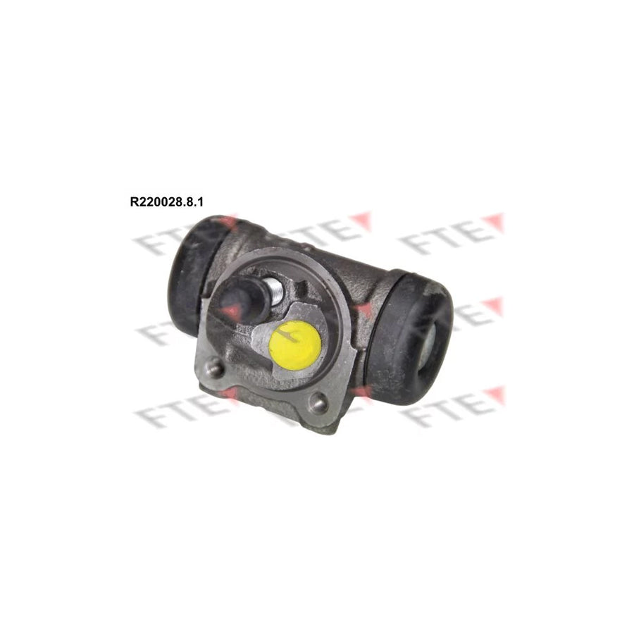 FTE R220028.8.1 Wheel Brake Cylinder