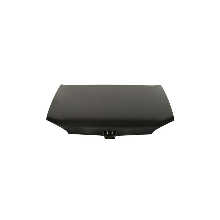 Blic 6803-00-5502281P Bonnet for Peugeot 106 II Hatchback (1A, 1C)