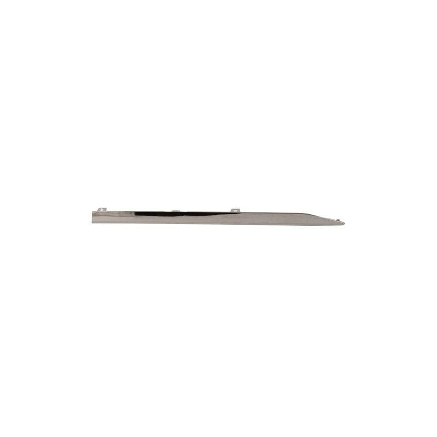 Blic 5703-04-6013577P Trim / Protective Strip, Mudguard for Audi A4
