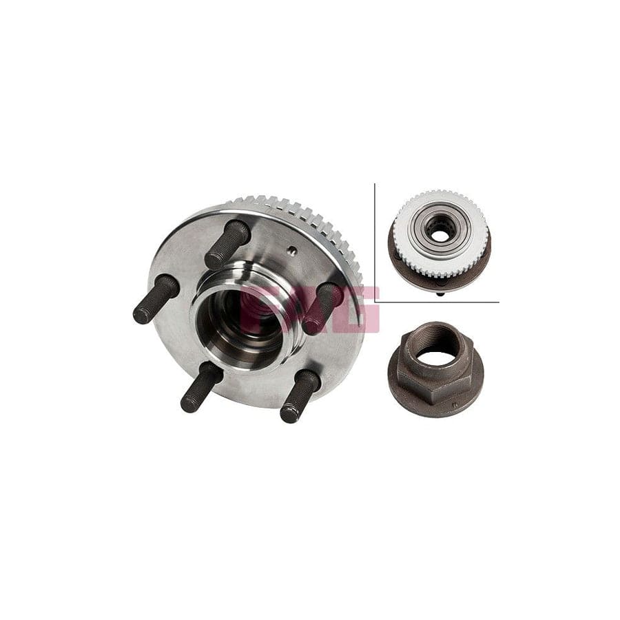 FAG 713 6603 20 Wheel Bearing Kit
