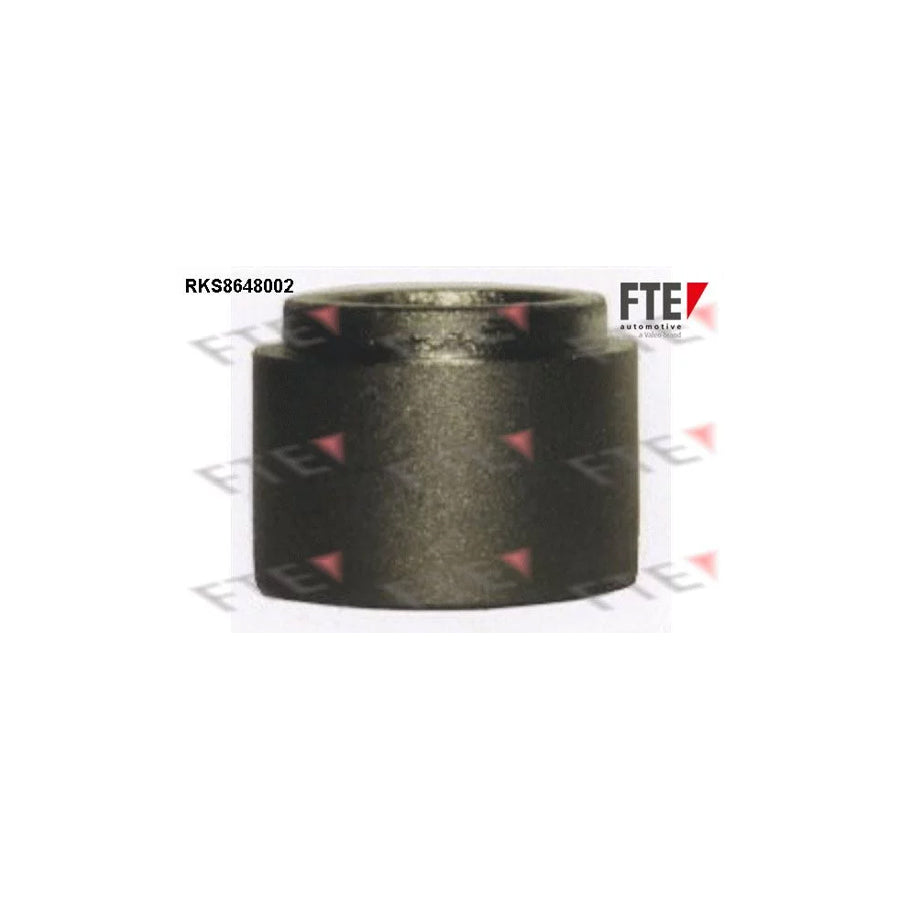 FTE Rks8648002 Piston, Brake Caliper