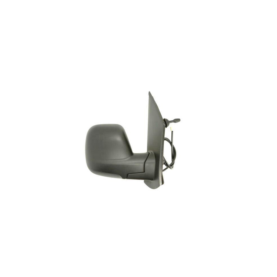 Blic 5402-04-2103392P Wing Mirror