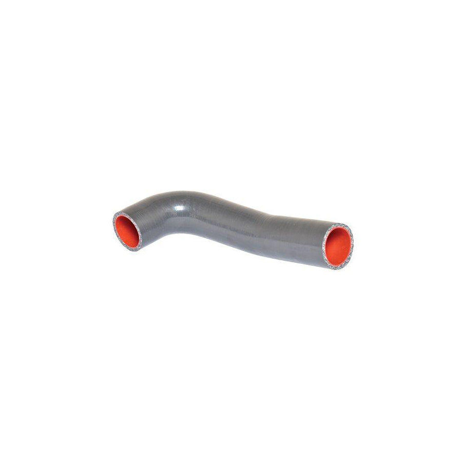 BUGIAD 88699 Charger Intake Hose for Hyundai Getz (Tb)