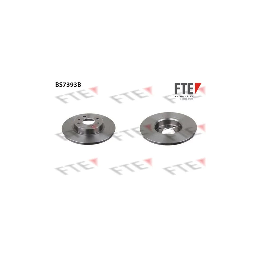 FTE Bs7393B Brake Disc