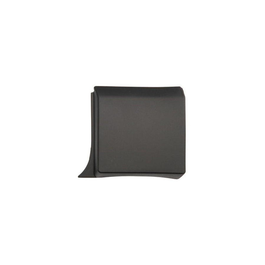 Blic 5703-04-6063581Pp Trim / Protective Strip, Mudguard
