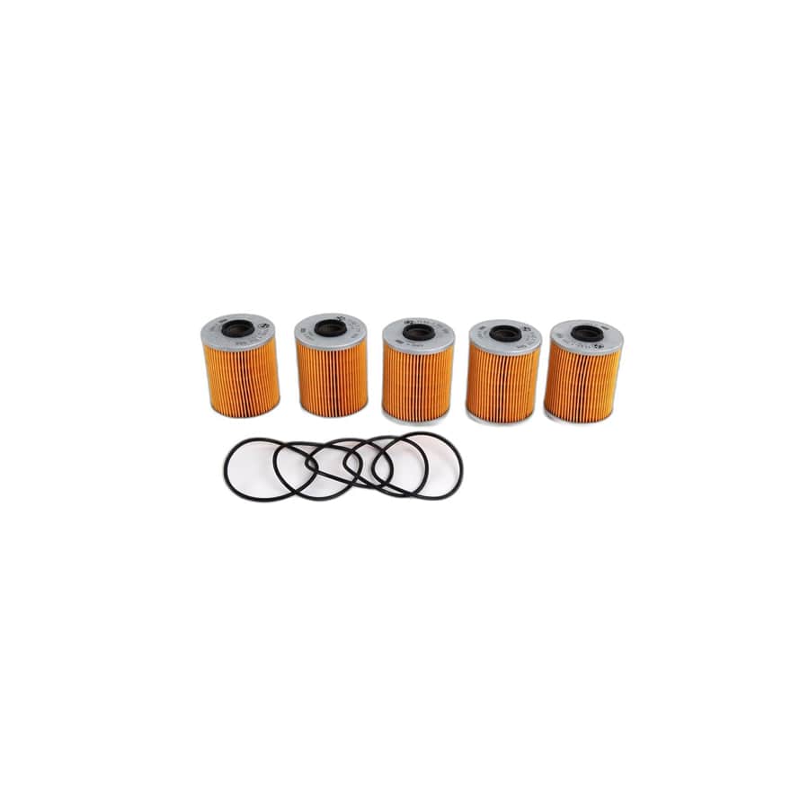 Genuine BMW 11421730389 E36 E34 Set Oil-Filter Element (Inc. 525i, 520i & 325is)