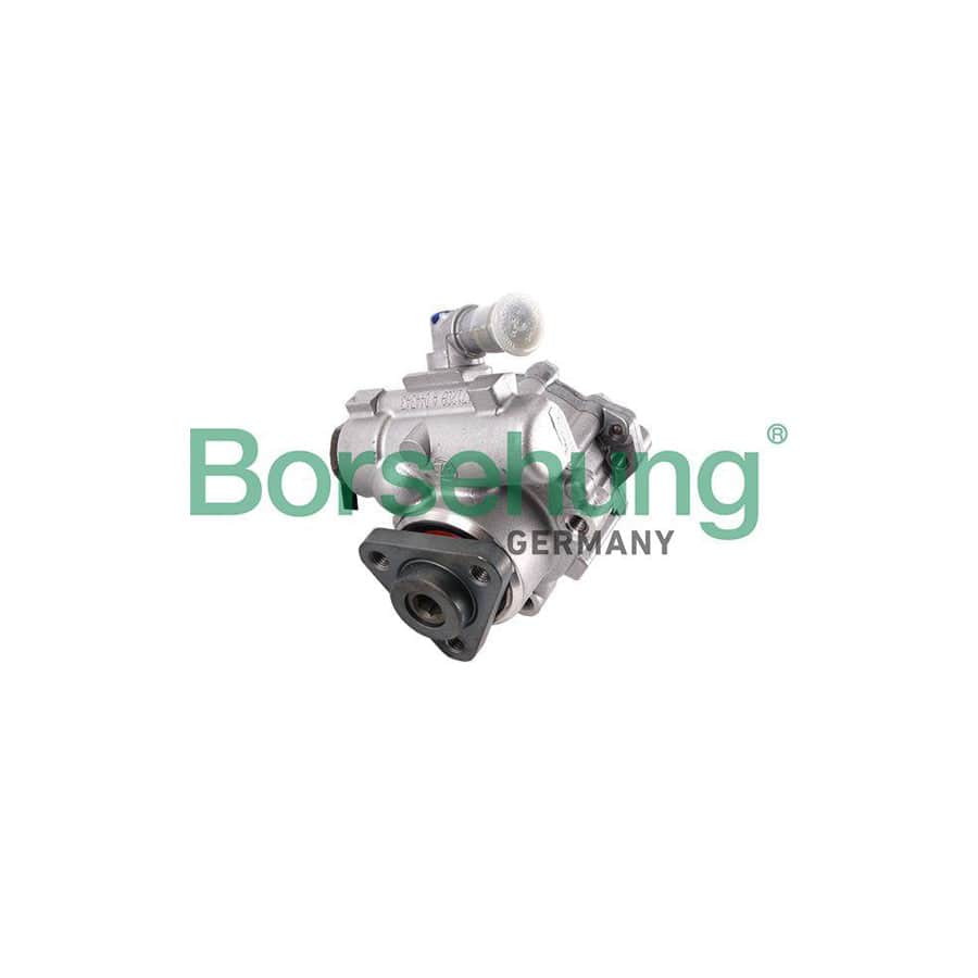 Borsehung B18226 Power Steering Pump for Audi A4