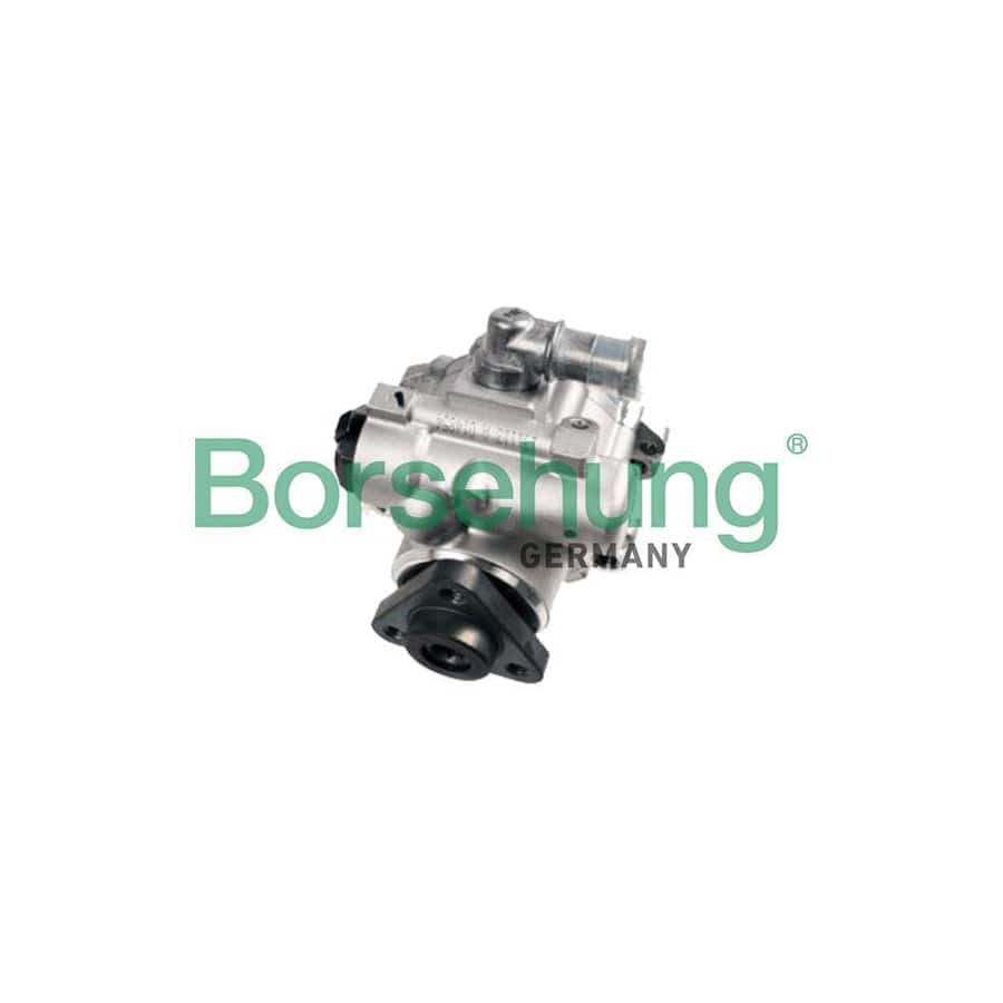 Borsehung B18225 Power Steering Pump for Audi A4