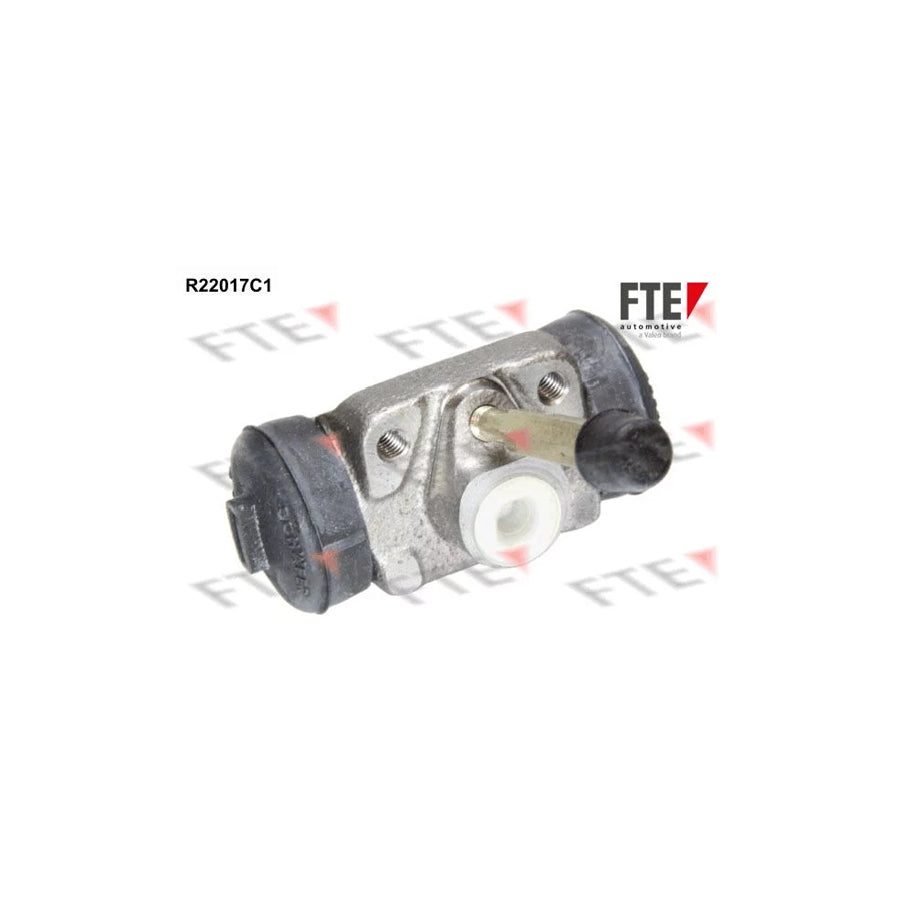 FTE R22017C1 Wheel Brake Cylinder