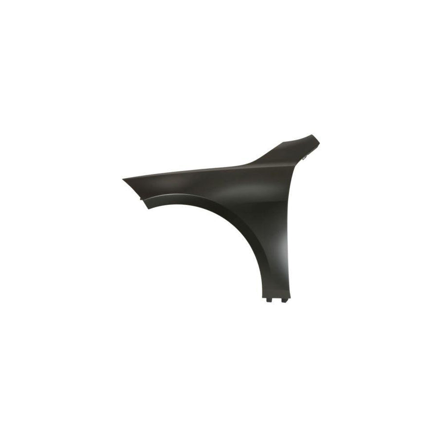 Blic 6504-04-0073311P Wing Fender for BMW 1 Hatchback (F40)