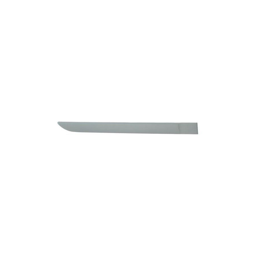 Blic 5703-04-6042578P Door Molding for Renault Megane