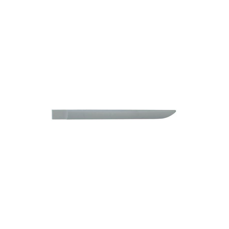 Blic 5703-04-6042577P Door Molding for Renault Megane