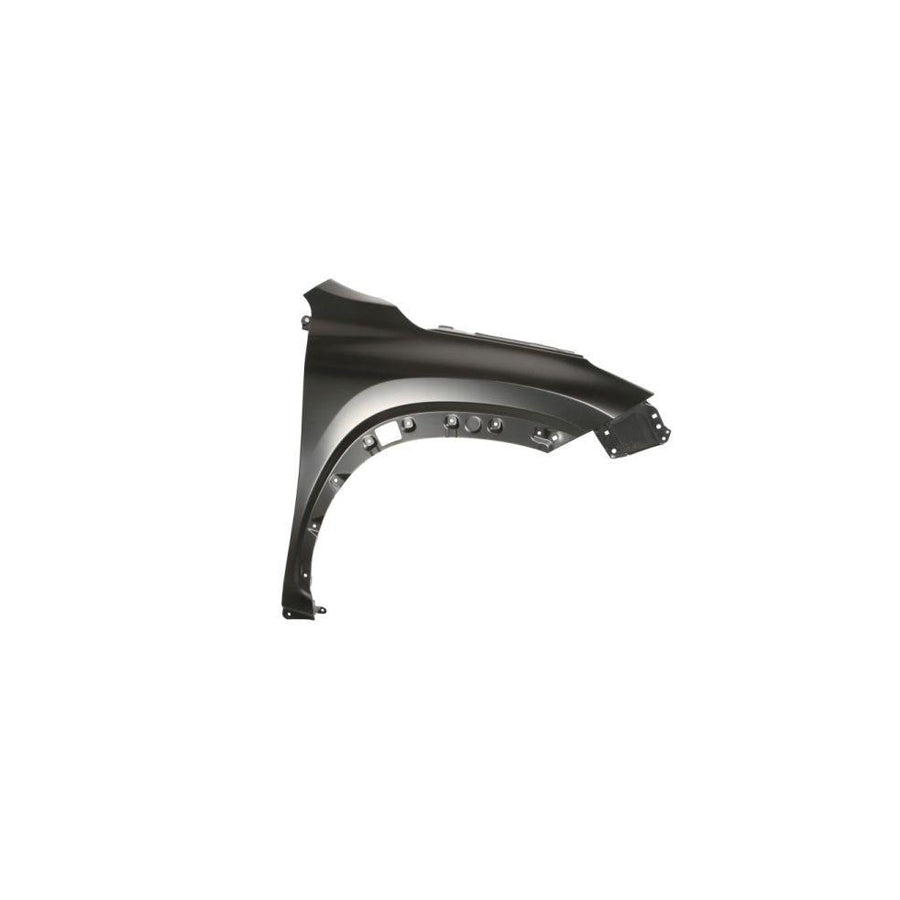 Blic 6504-04-8166312P Wing Fender for Lexus Nx (Az10)