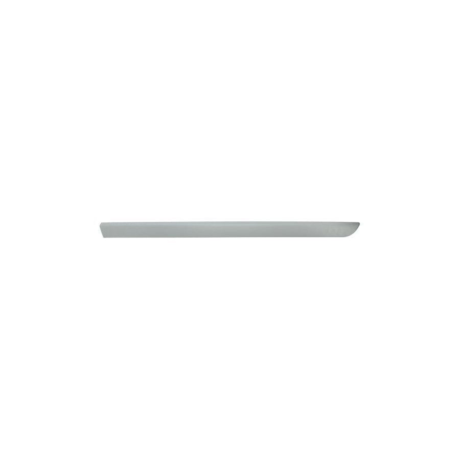 Blic 5703-04-6042576P Door Molding for Renault Megane