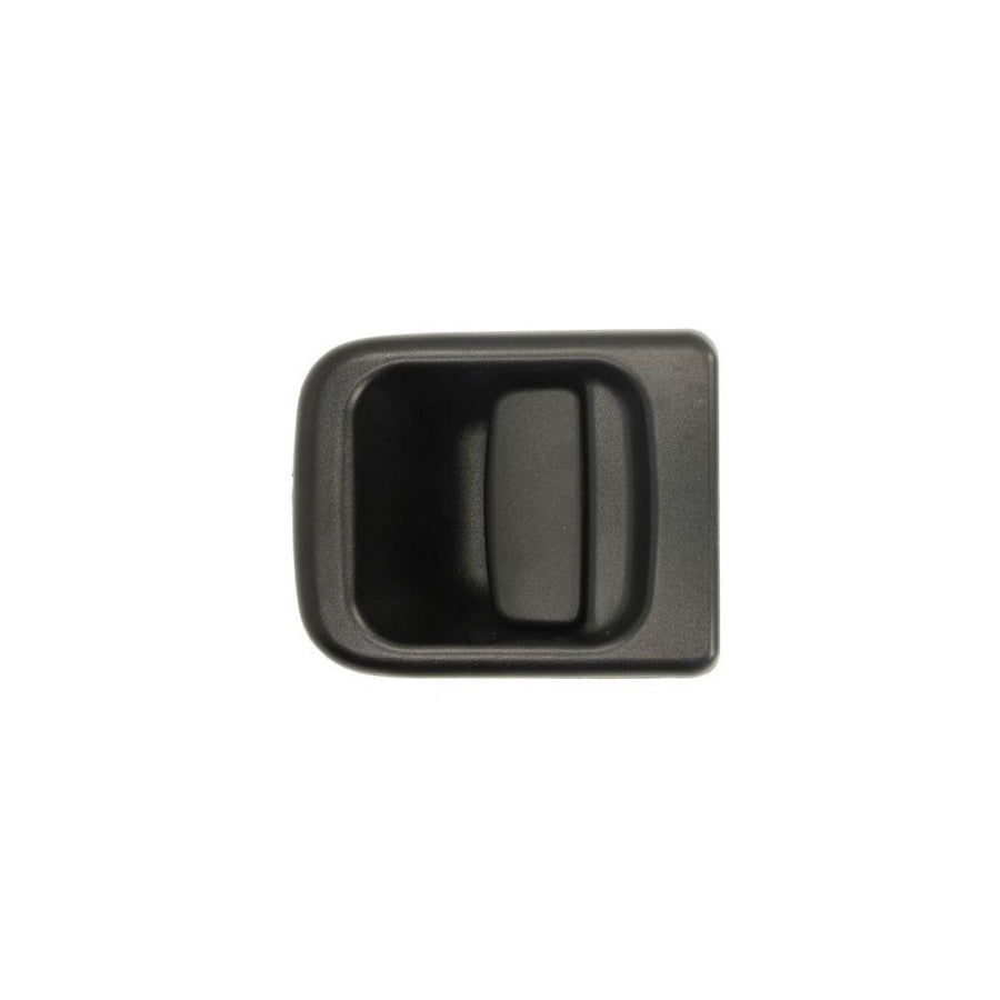 Blic 6010-09-032401Pp Door Handle