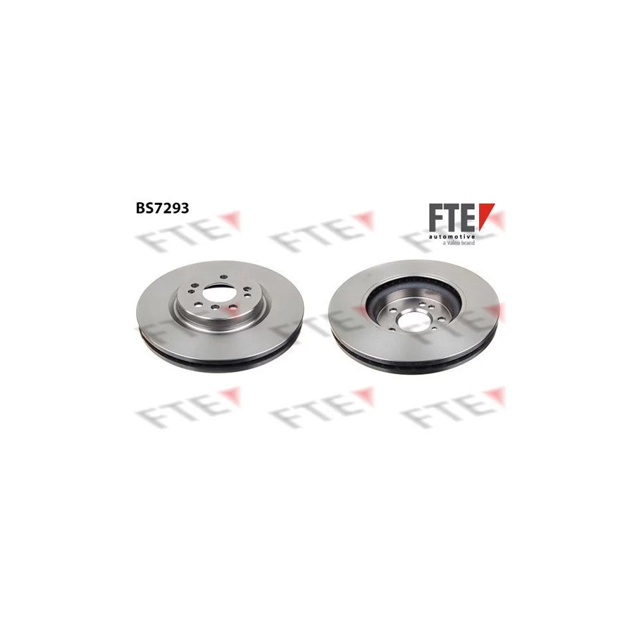 FTE 9071021 Brake Disc