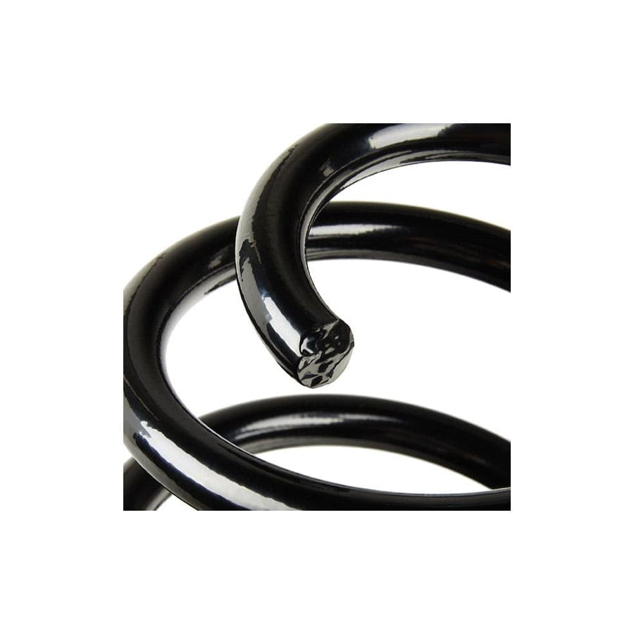 KYB RA1071 Coil Spring