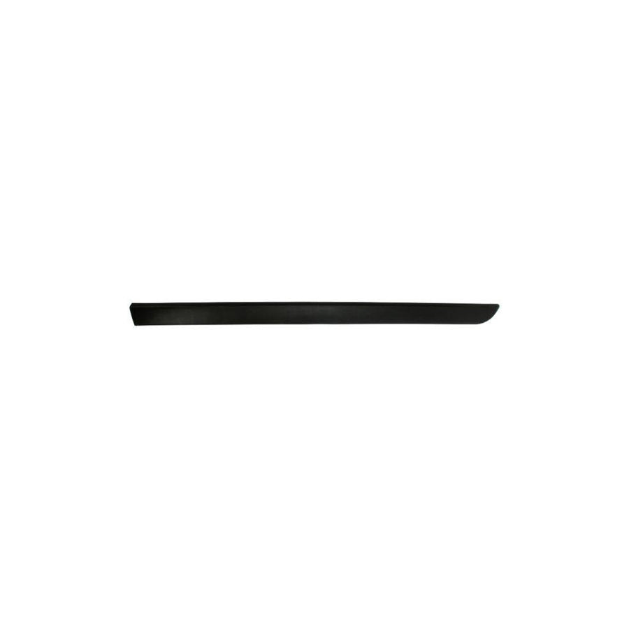 Blic 5703-04-6042572P Door Molding for Renault Megane