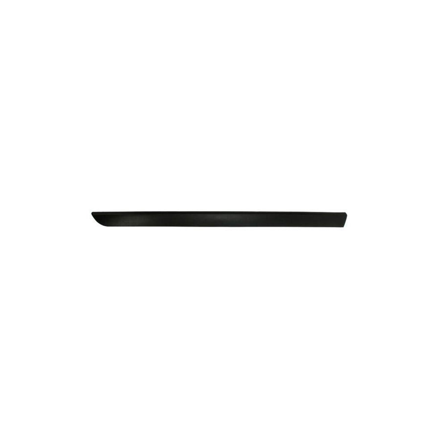 Blic 5703-04-6042571P Door Molding for Renault Megane