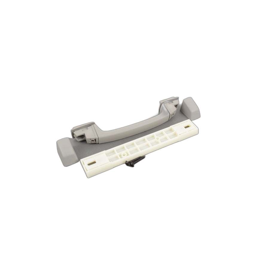 Genuine BMW 51163418724 E83 Grab Handle, Front GRAU (Inc. X3)