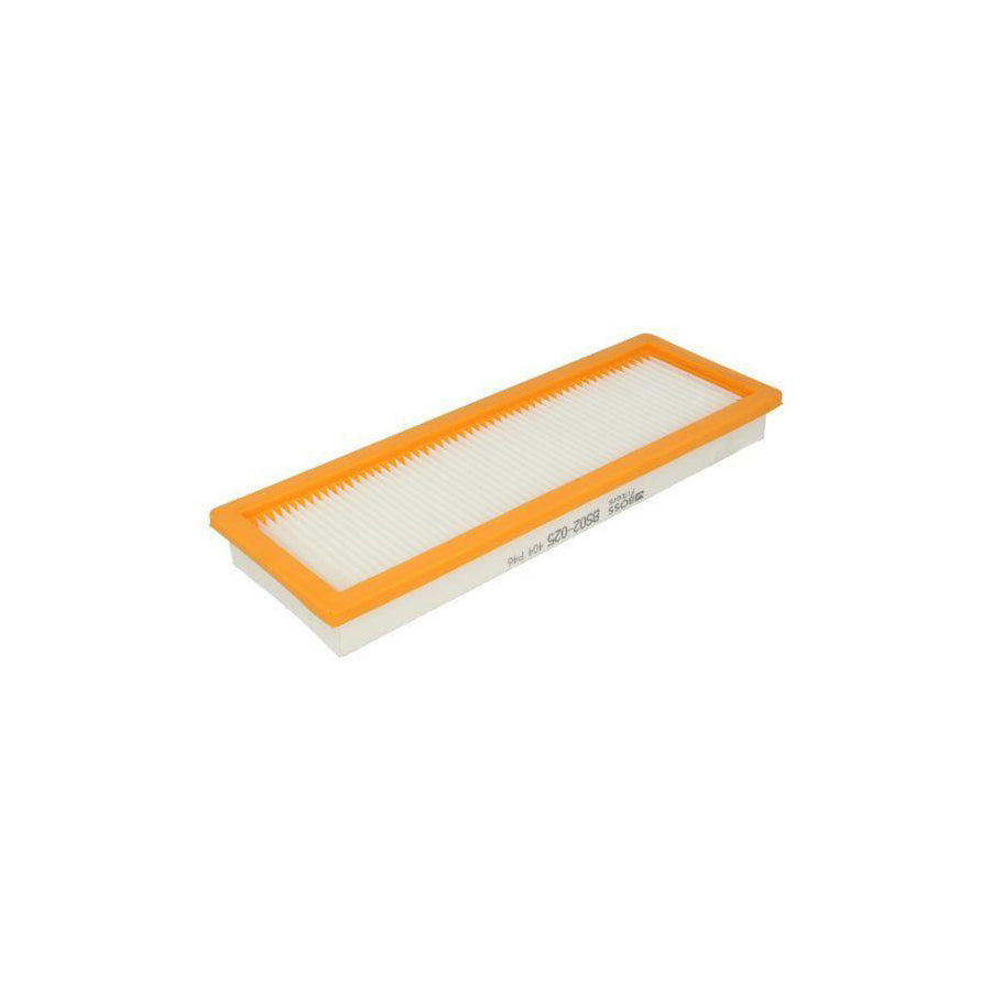 Boss Filters Bs02-025 Pollen Filter