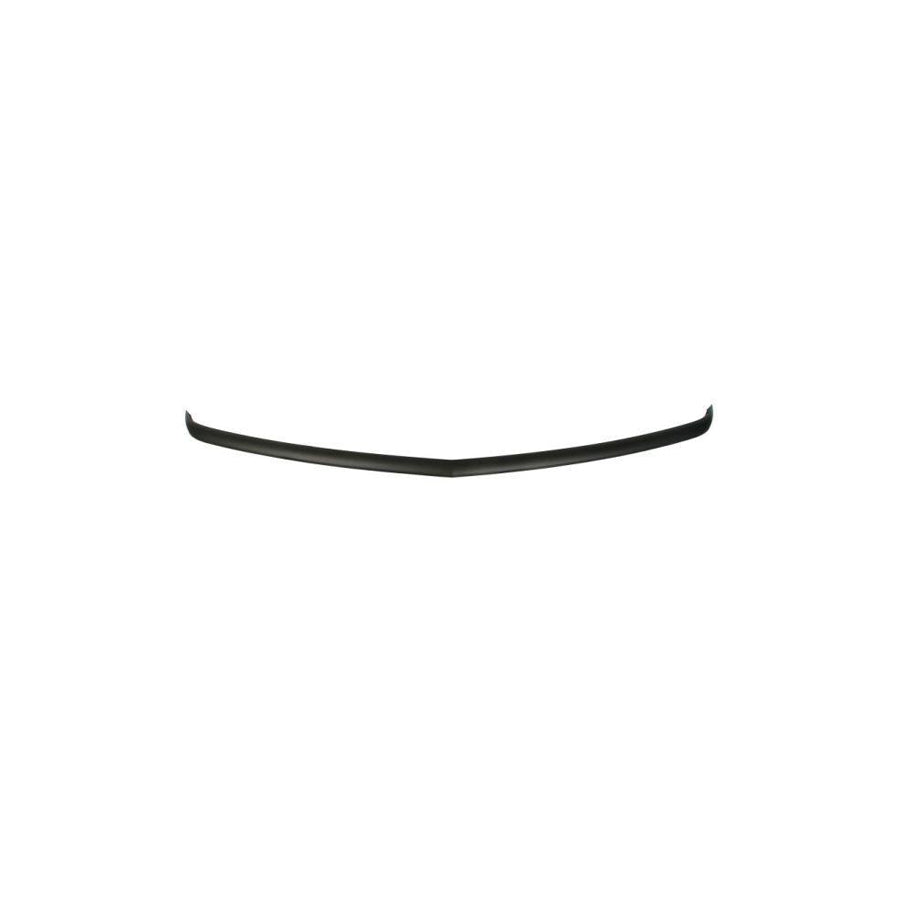 Blic 5511-00-0932220P Front Splitter for Dodge Charger VII (LD)