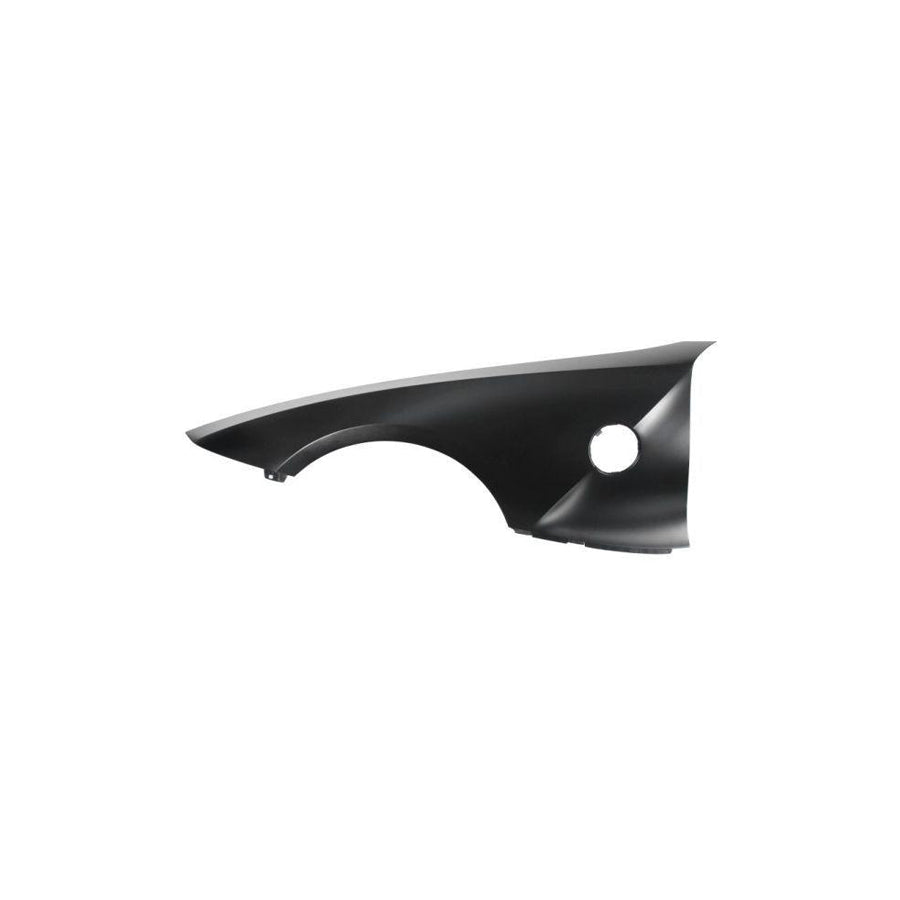 Blic 6504-04-0089311P Wing Fender for BMW Z4