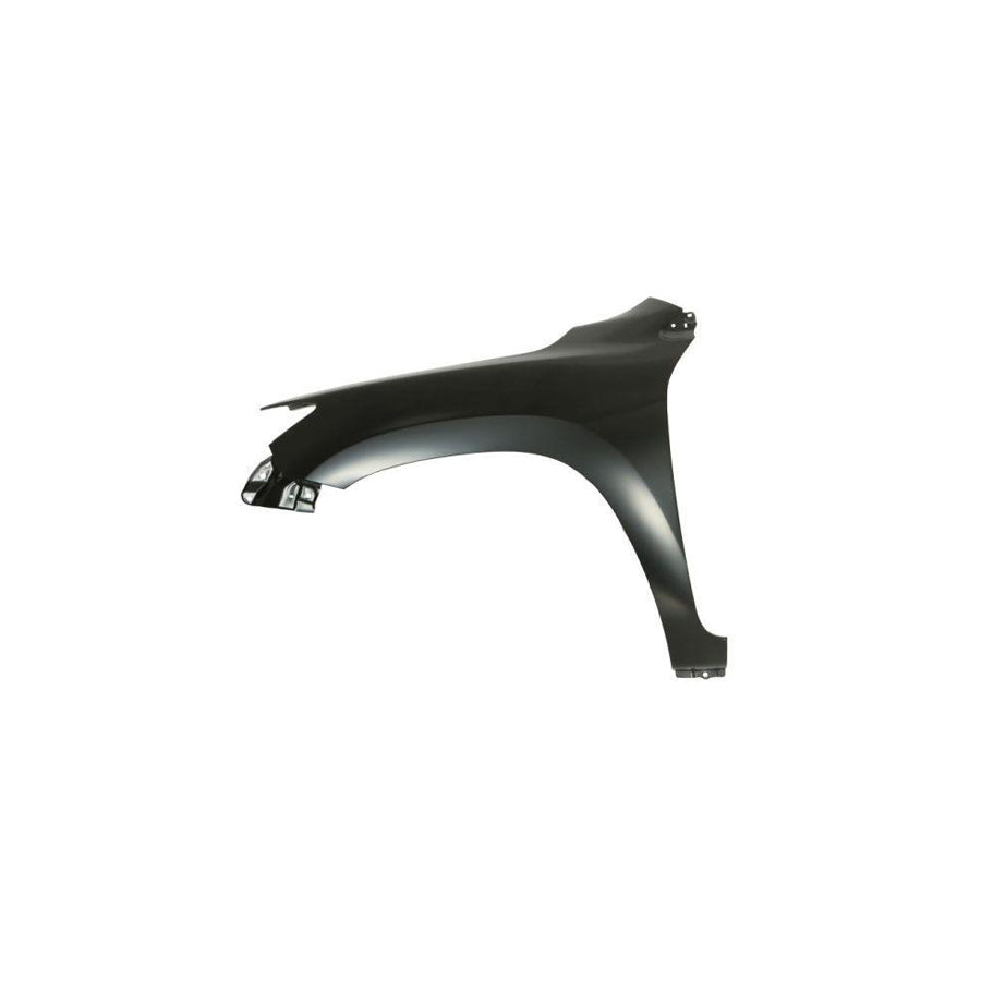 Blic 6504-04-8179319P Wing Fender for Toyota Rav4 III Off-Road (Xa30)