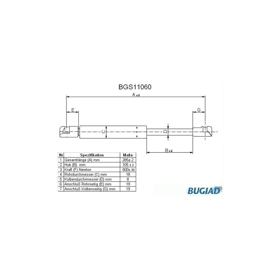 BUGIAD Bgs11060 Tailgate Strut for Seat Córdoba II Saloon (6L2)