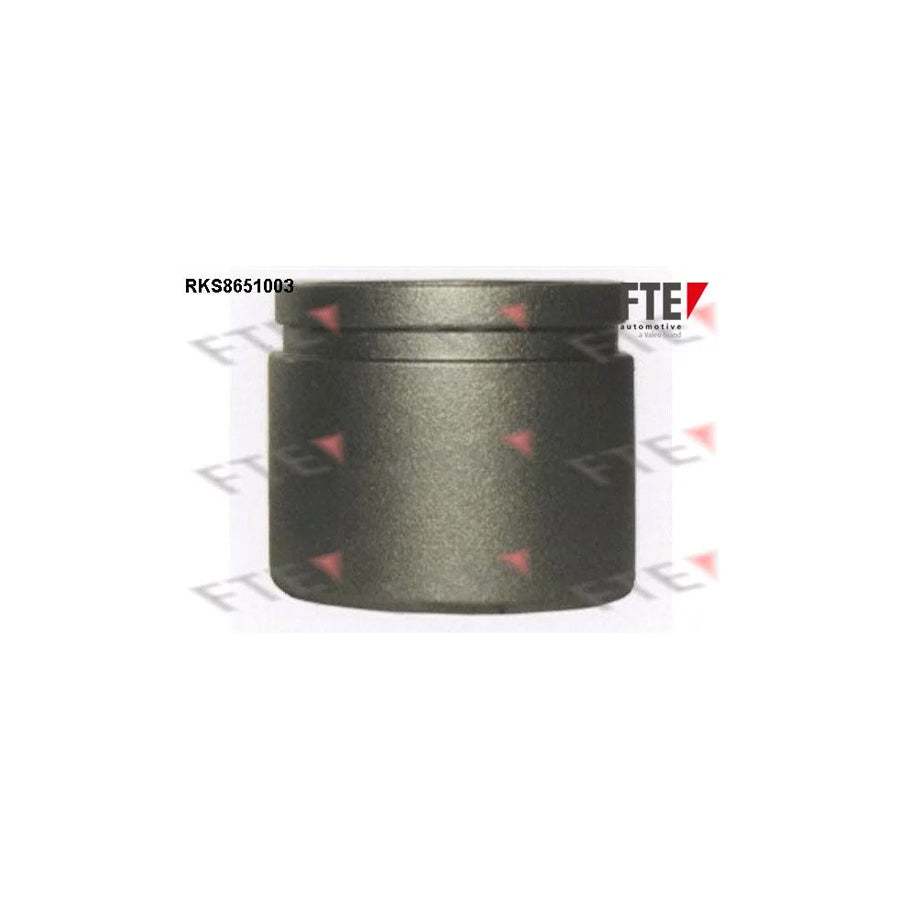 FTE Rks8651003 Piston, Brake Caliper