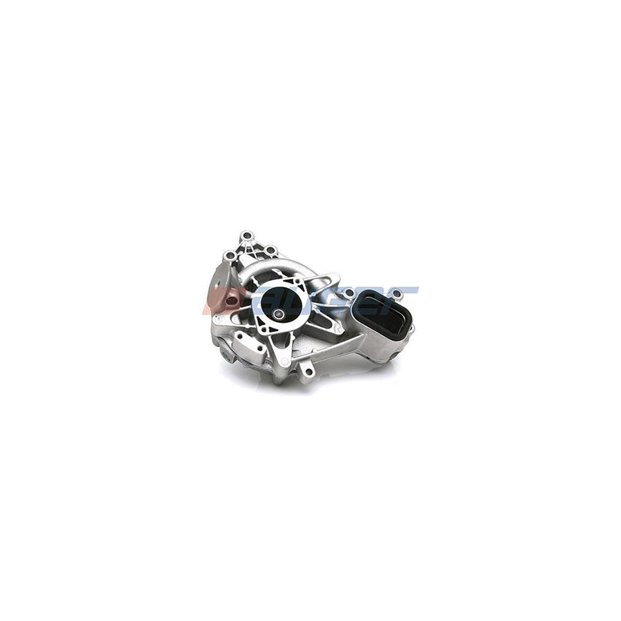 Auger 80770 Water Pump