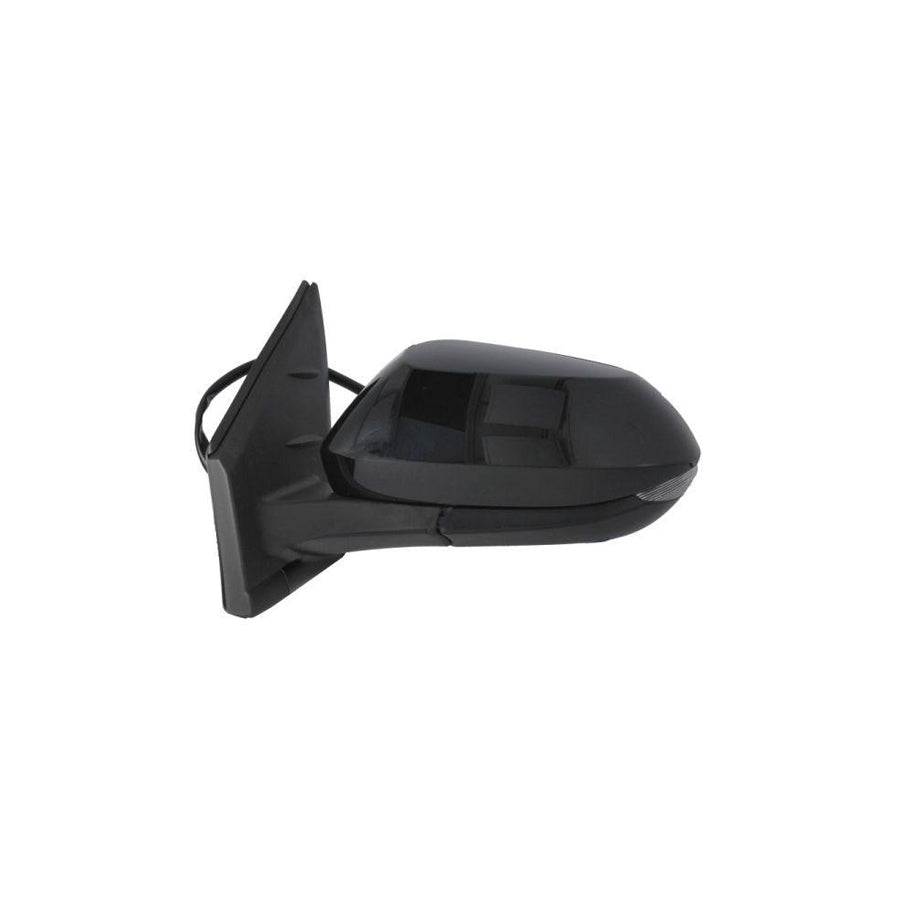 Blic 5402-19-2392312P Wing Mirror