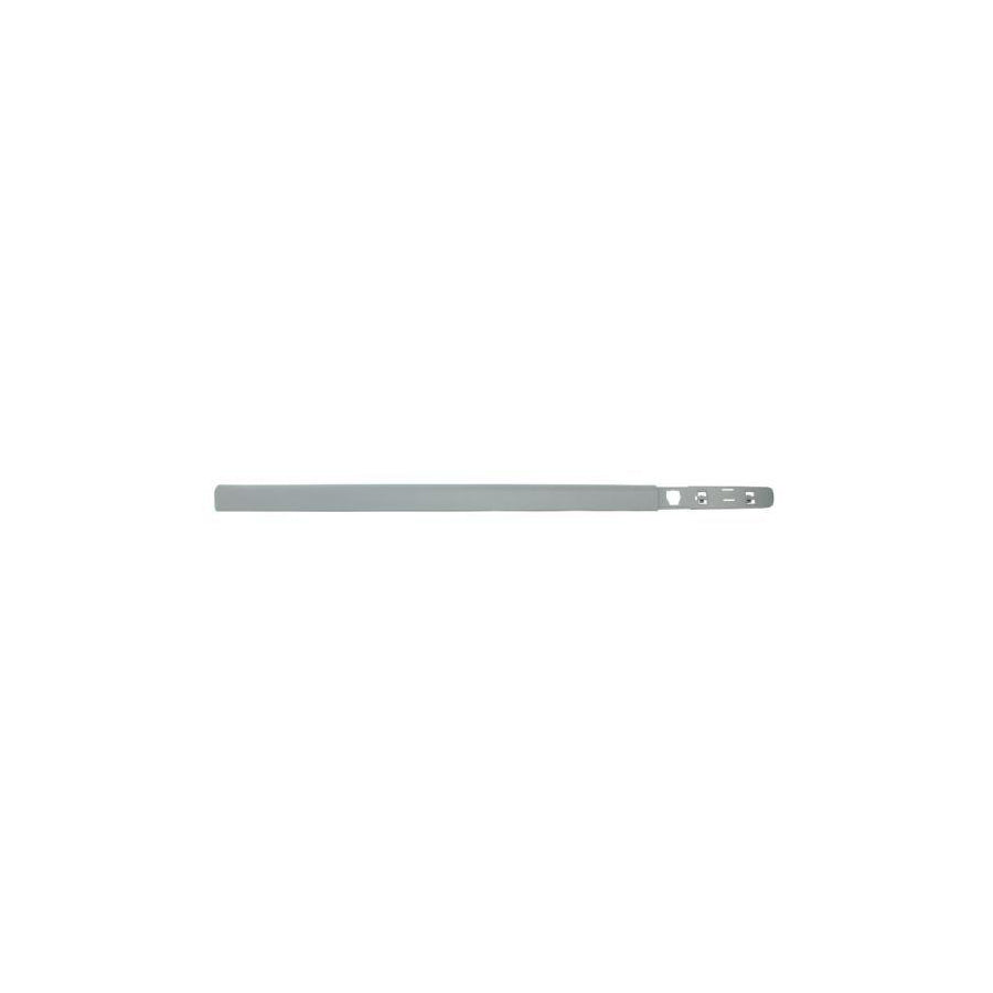 Blic 5703-04-6033576P Door Molding for Renault Clio