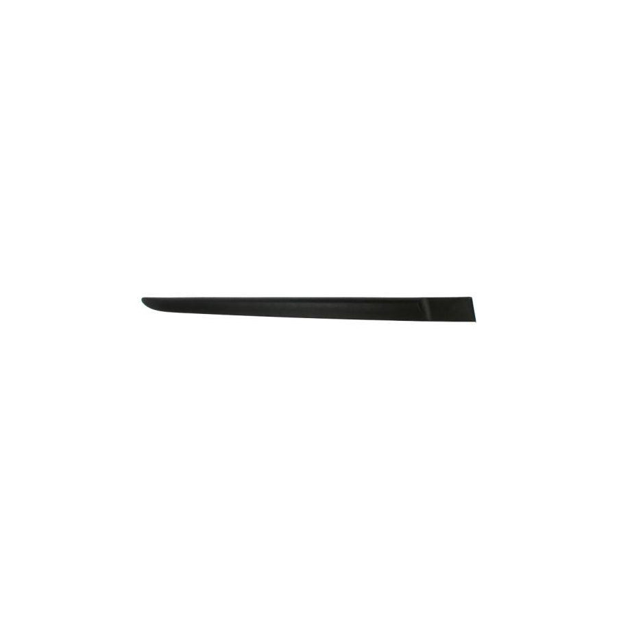 Blic 5703-04-6033574P Door Molding for Renault Clio