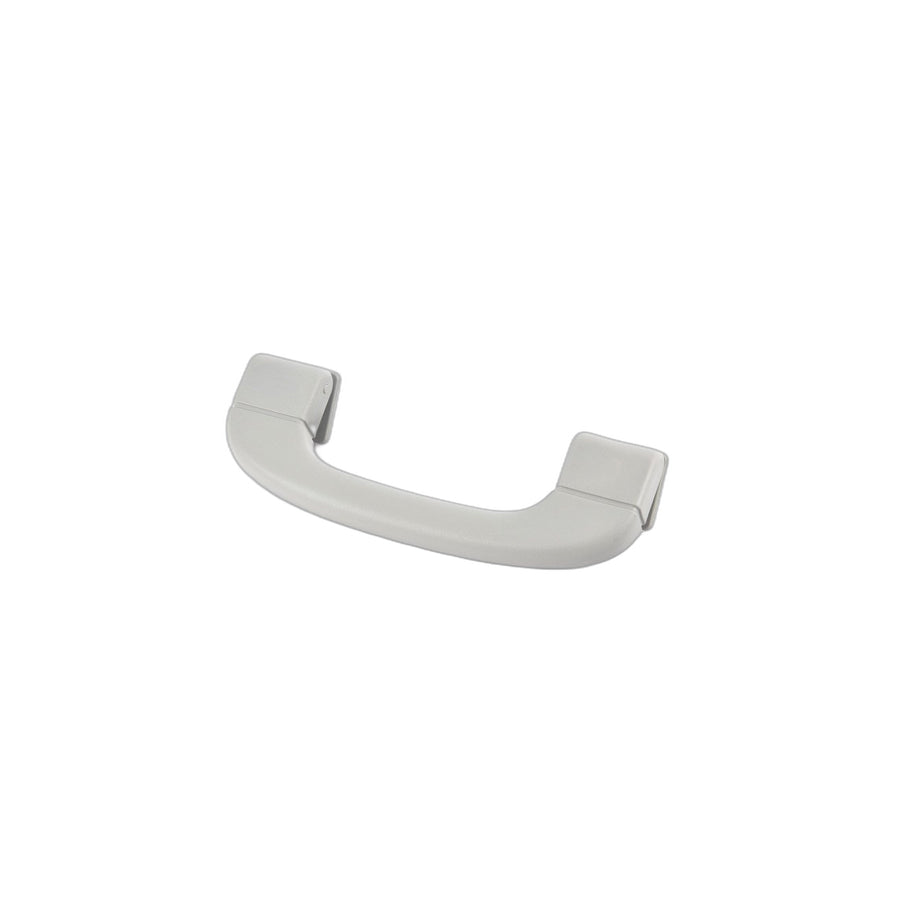 Genuine BMW 51166977703 E70 Handle HImmELGRAU (Inc. X5)