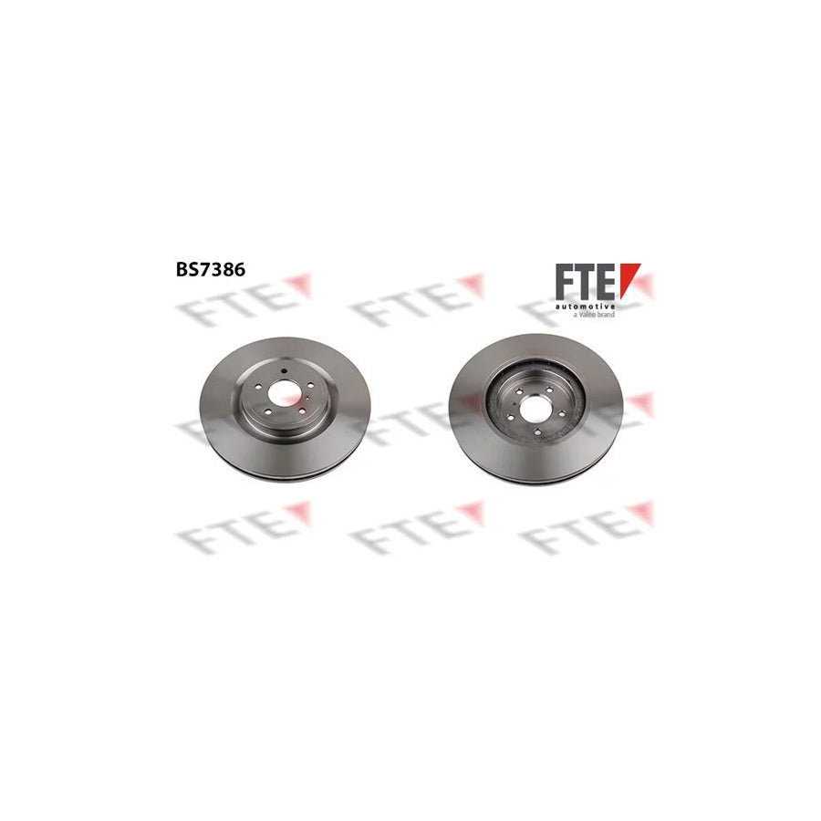 FTE Bs7386 Brake Disc