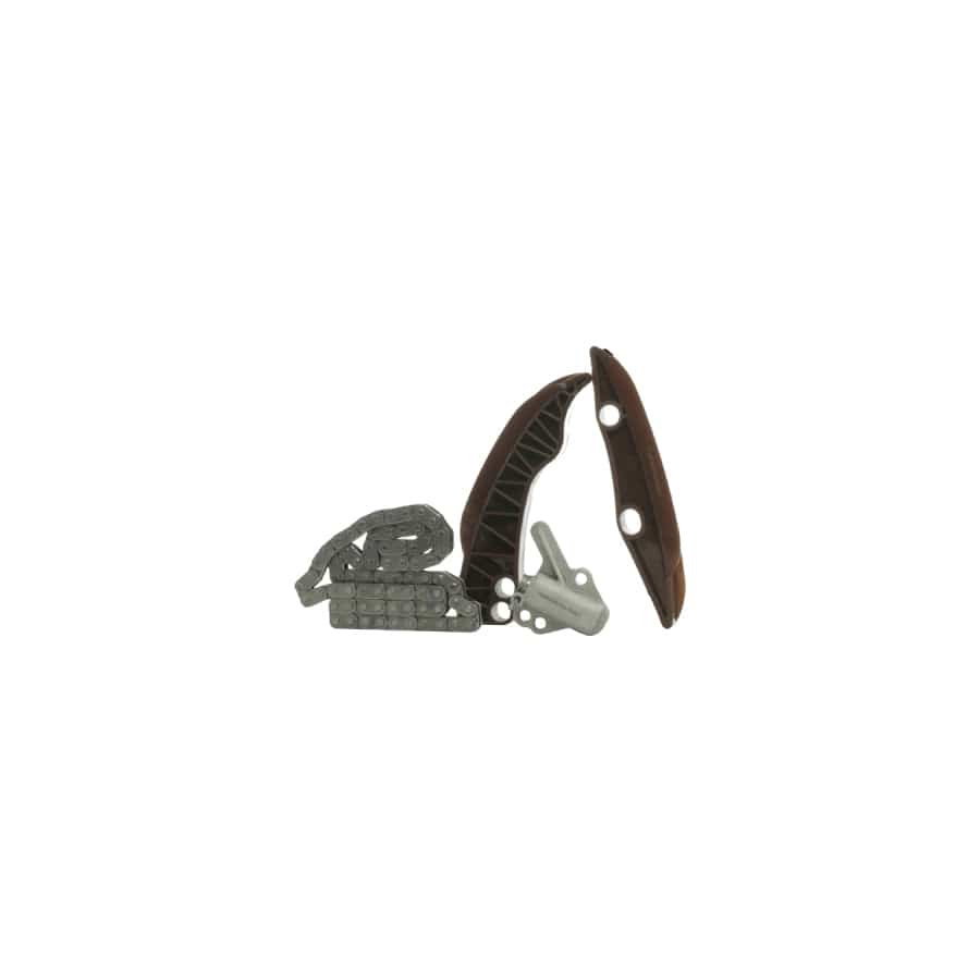 Borsehung B10217 Timing Chain Kit