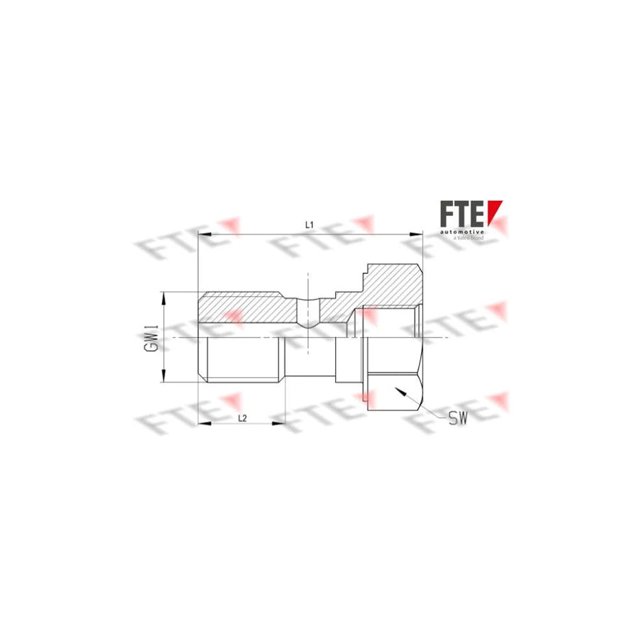 FTE A0171 Hollow Screw