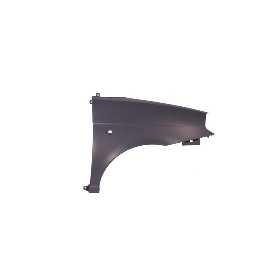 Blic 6504-04-3331312P Wing Fender for Lancia Ypsilon II (843)