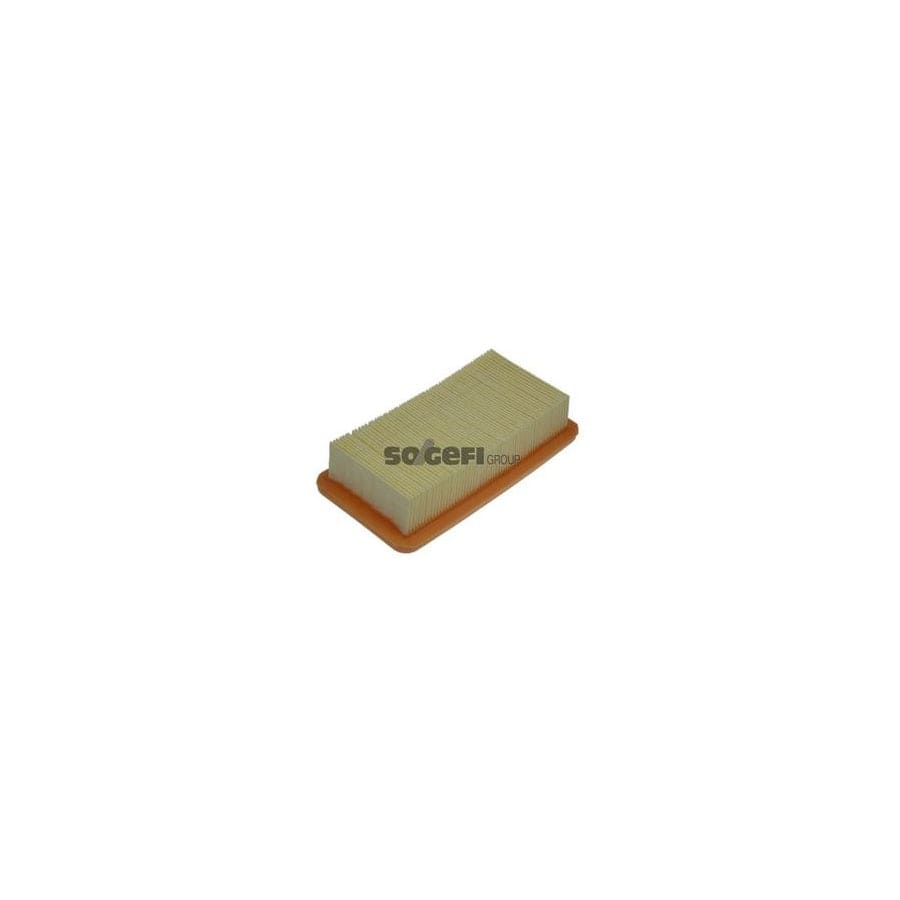 Purflux A1331 Air Filter