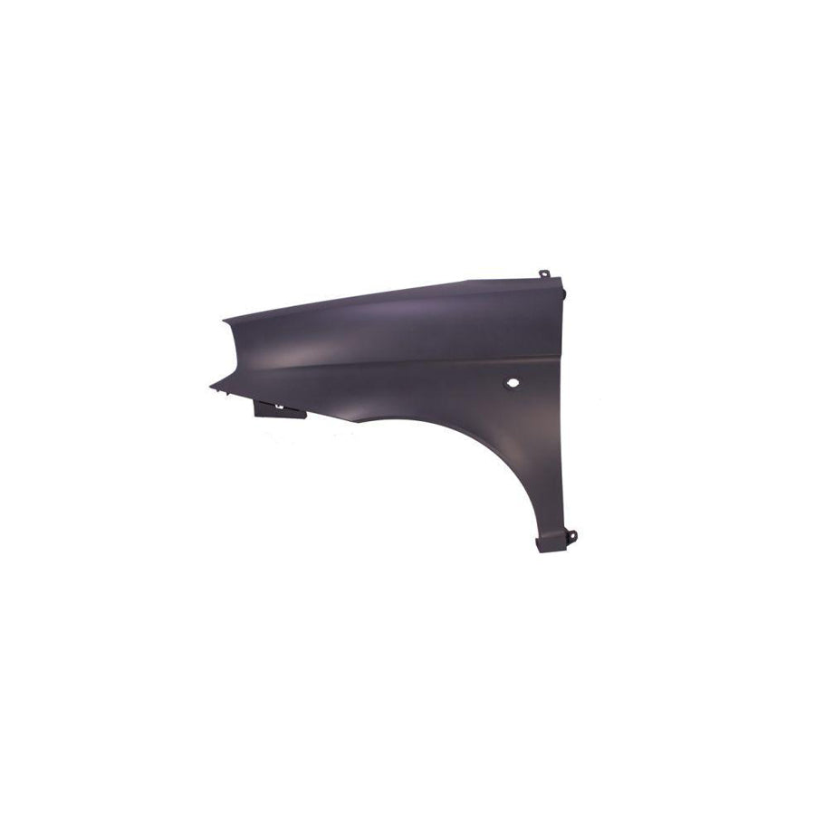 Blic 6504-04-3331311P Wing Fender for Lancia Ypsilon II (843)