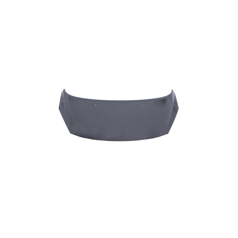 Blic 6803-00-5508280Q Bonnet for Peugeot 207