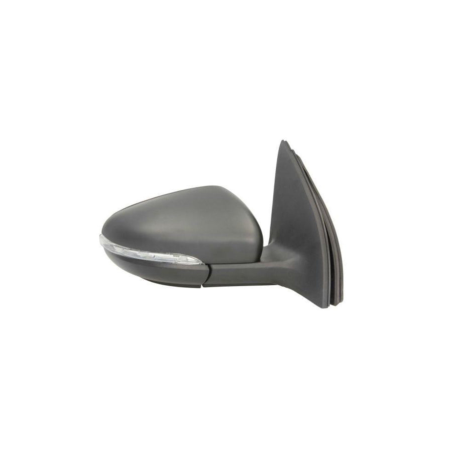 Blic 5402-01-2002632P Wing Mirror for VW Golf
