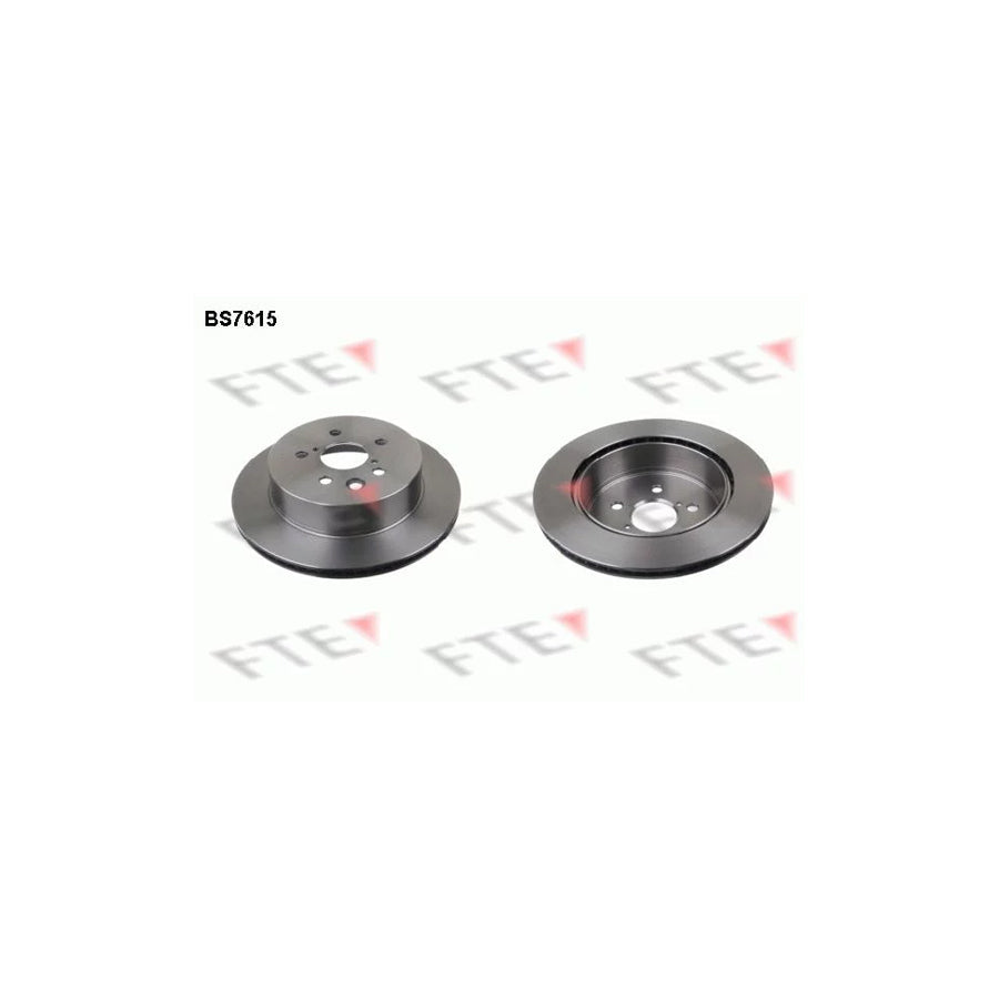 FTE 9072806 Brake Disc