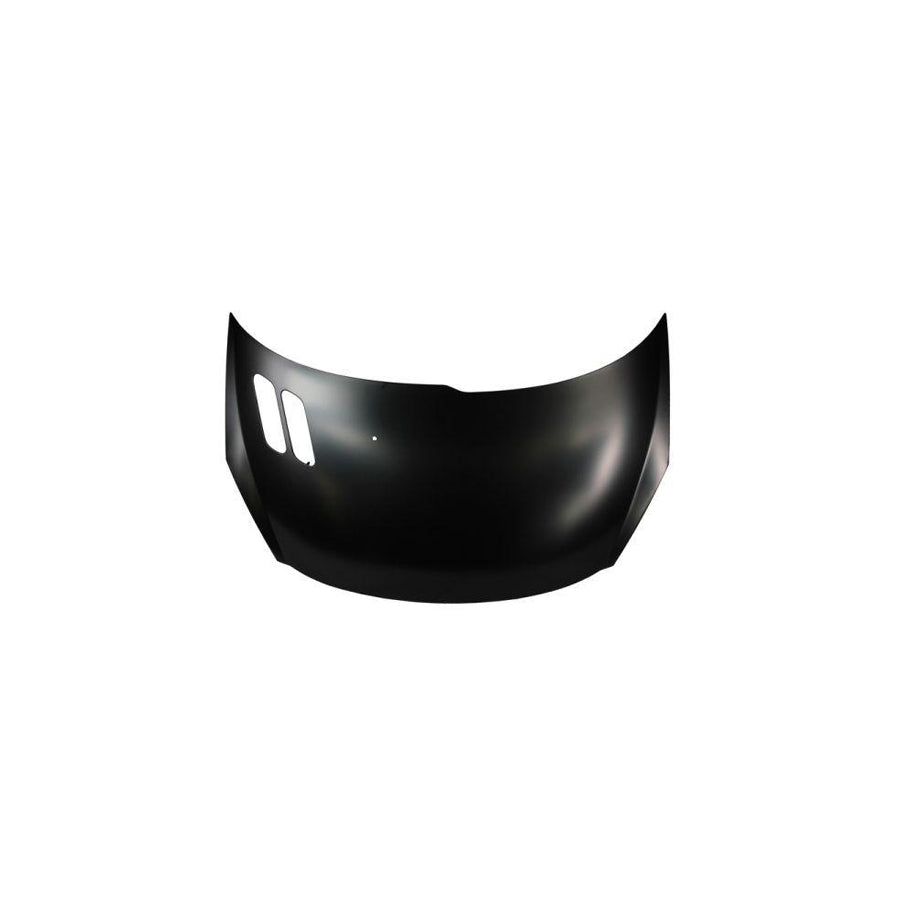 Blic 6803-00-5507281P Bonnet for Peugeot 206  Hatchback (2L, 2M)