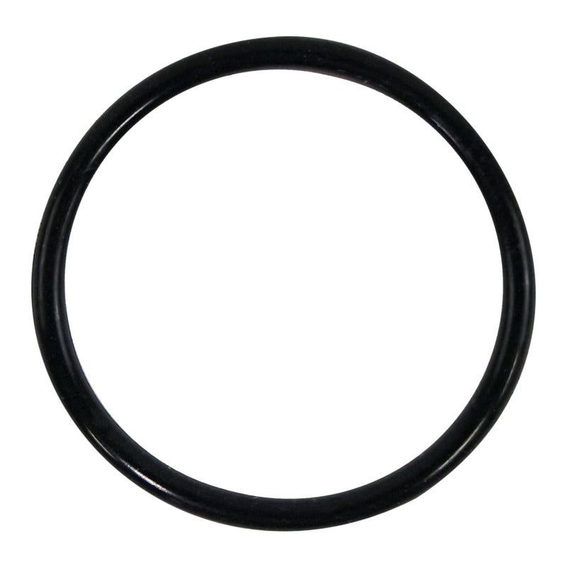 Fel-Pro Nissan D21 73576 Engine Oil Pump Pickup Tube O-Ring