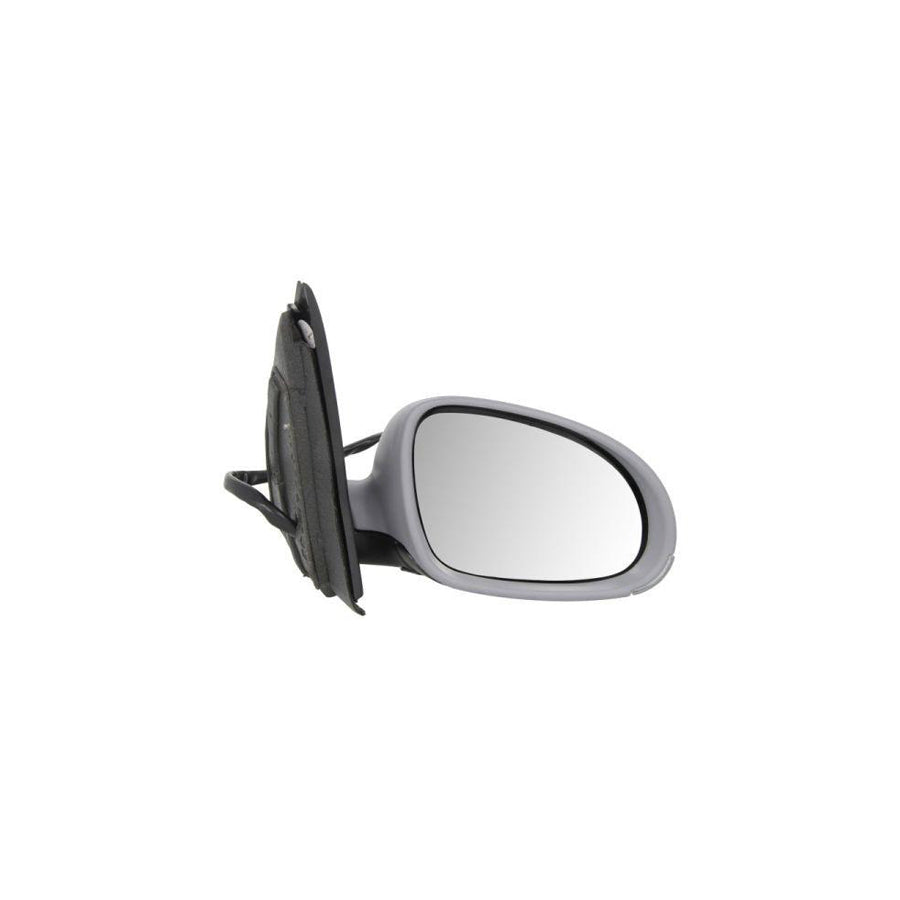 Blic 5402-01-2002630P Wing Mirror for VW Golf
