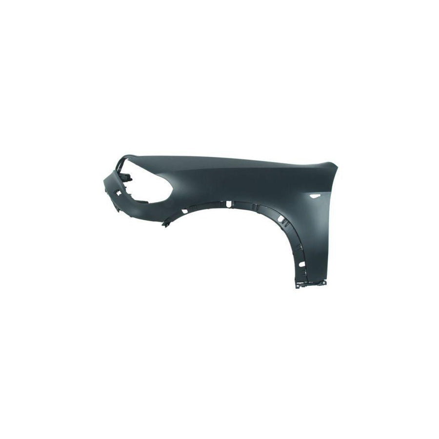 Blic 6504-04-0096317P Wing Fender for BMW X5 (E70)