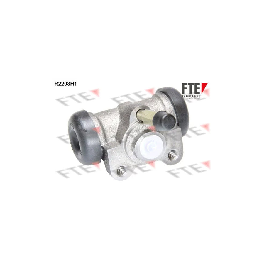 FTE R2203H1 Wheel Brake Cylinder