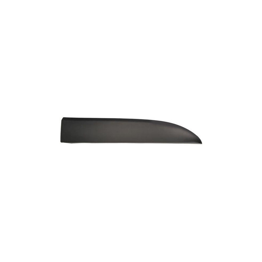 Blic 5703-04-6063586Pp Trim / Protective Strip, Mudguard